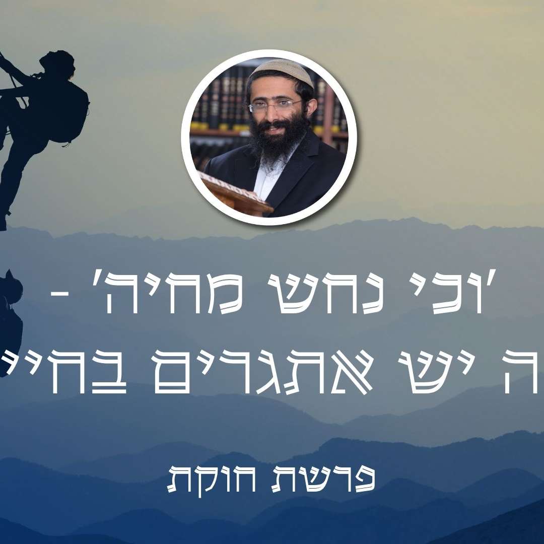 פרשת חוקת • 'וכי נחש מחיה' - למה יש אתגרים בחיים?