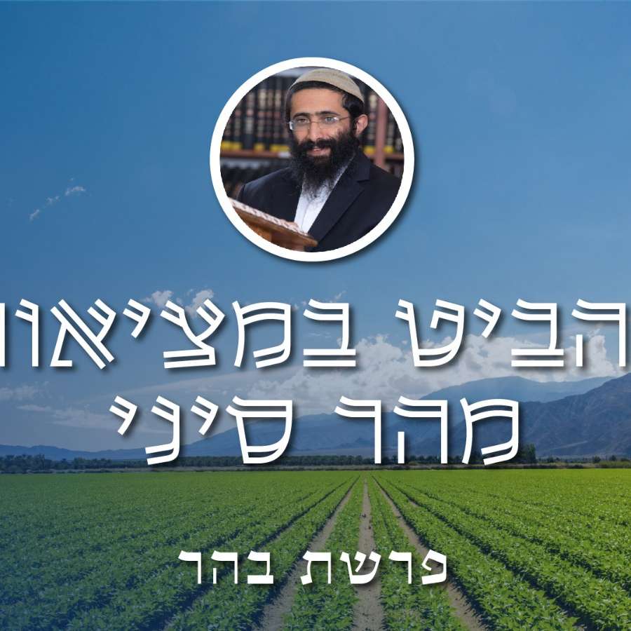 פרשת בהר • הרב ראובן ששון • להביט במציאות מהר סיני episode artwork
