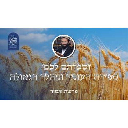 פרשת אמור • 'וספרתם לכם' - ספירת העומר ומהלך הגאולה episode artwork