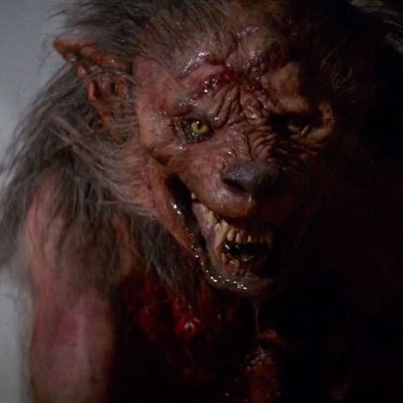 Fright Night Minute