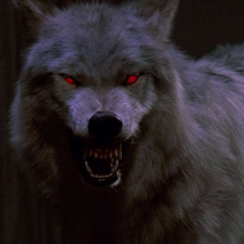 Fright Night Minute