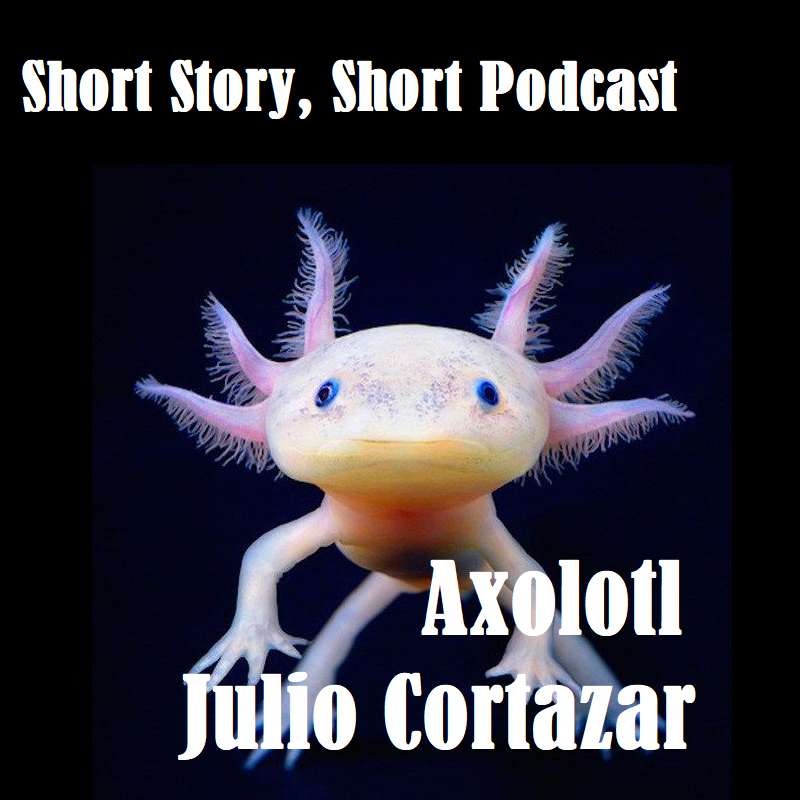Short Story, Short Podcast