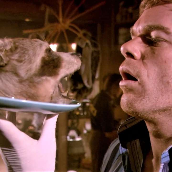 Digging Dexter