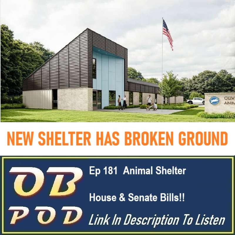 Ep 181  Animal Shelter