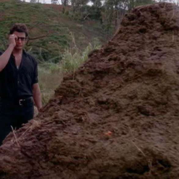 That is one big pile of shit
