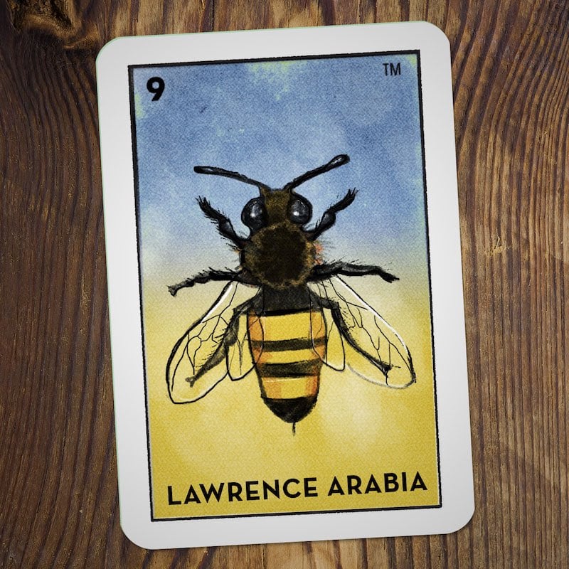 Episode 9 - Lawrence Arabia | Manchester episode artwork