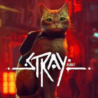 Stray episode artwork