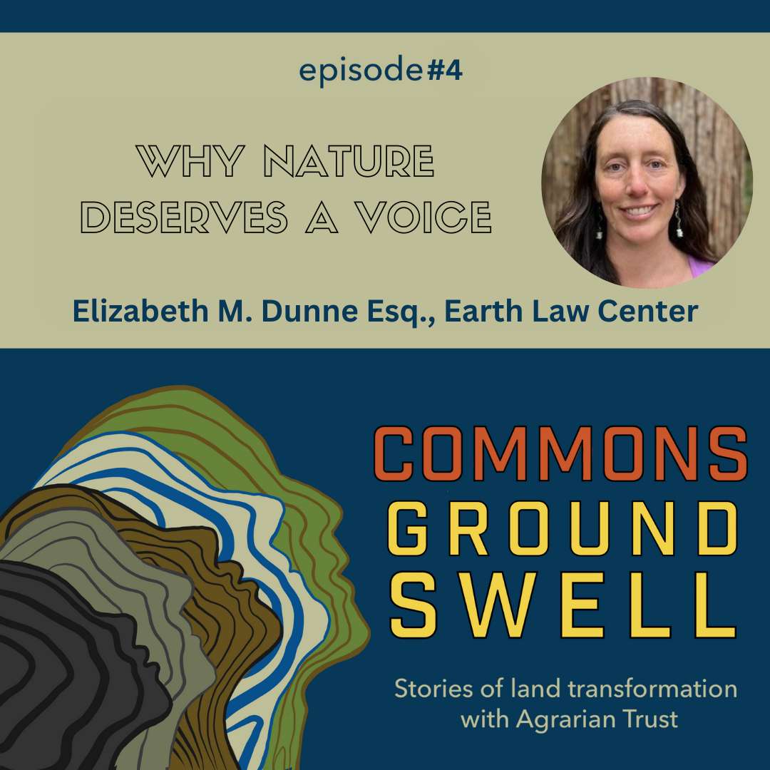 S1:E4 – Why Nature Deserves a Voice