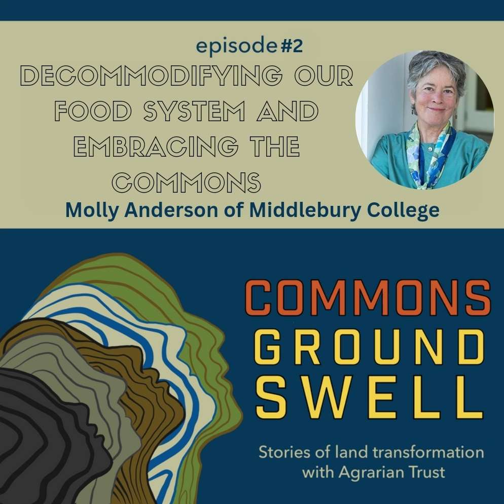 S1:E2 – Decommodifying Our Food System and Embracing The Commons