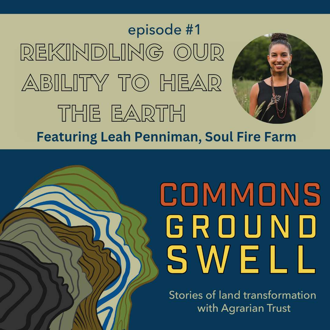 S1:E1 – Rekindling Our Ability to Hear The Earth