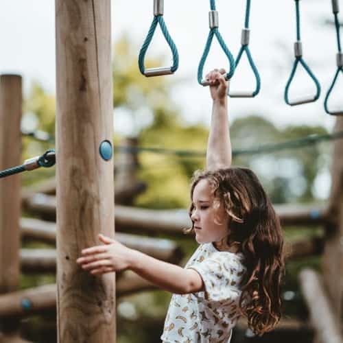 Monkey Bars