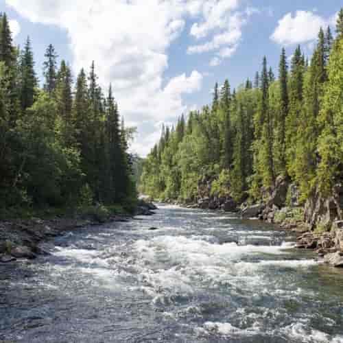 An Overflowing Stream Of Forgiveness And Life