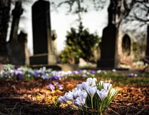 Multitudes Who Sleep In The Dust Of The Earth Will Awake