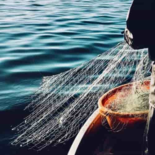 Trusting What May Sound Counterintuitive