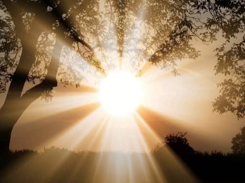 Light For The World