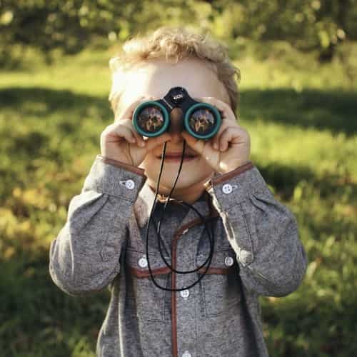 Here's Looking At You