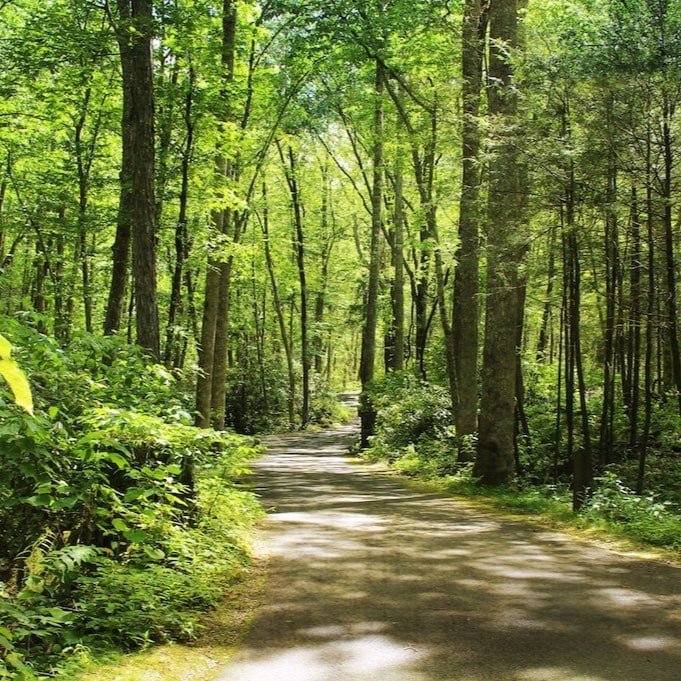 The Way