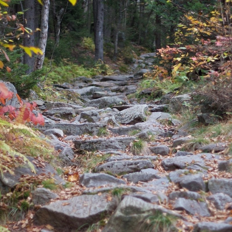 Stumbled On Your Walk With God? Think CAST