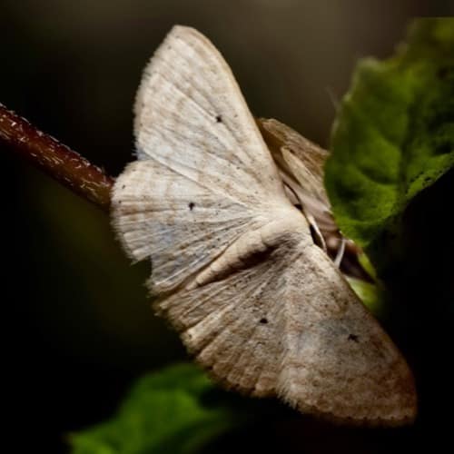 No More Moth-Eaten Shame and Guilt