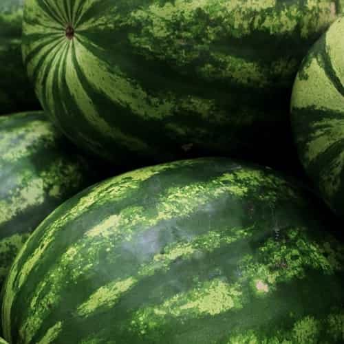 Watermelons Are Round