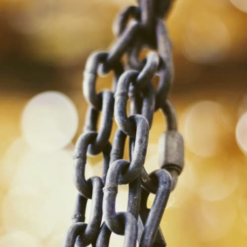 God's Word Unbound