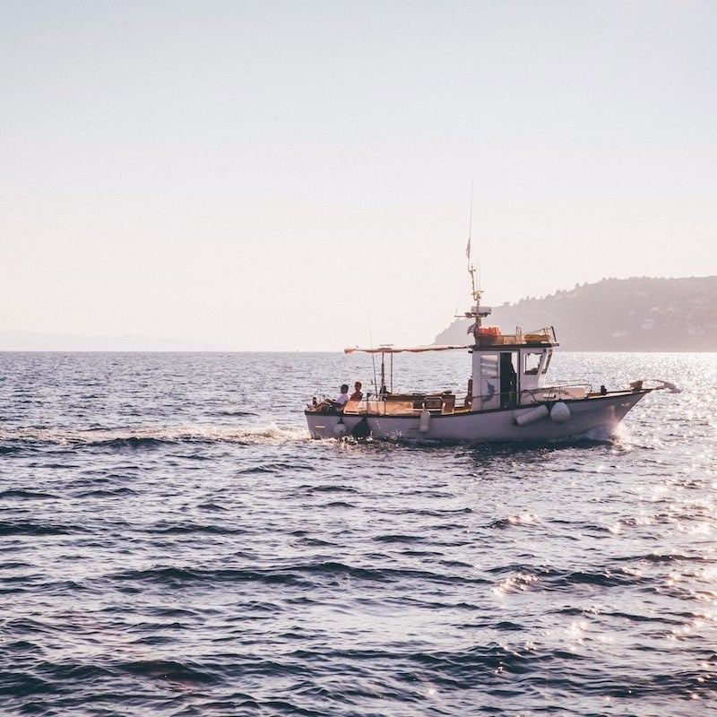You're Going To Need A Bigger Boat