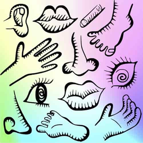Making Sense of God's Gifts