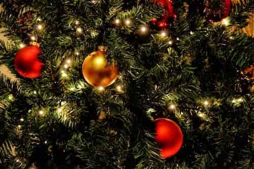 The Great Christmas Tree Debate