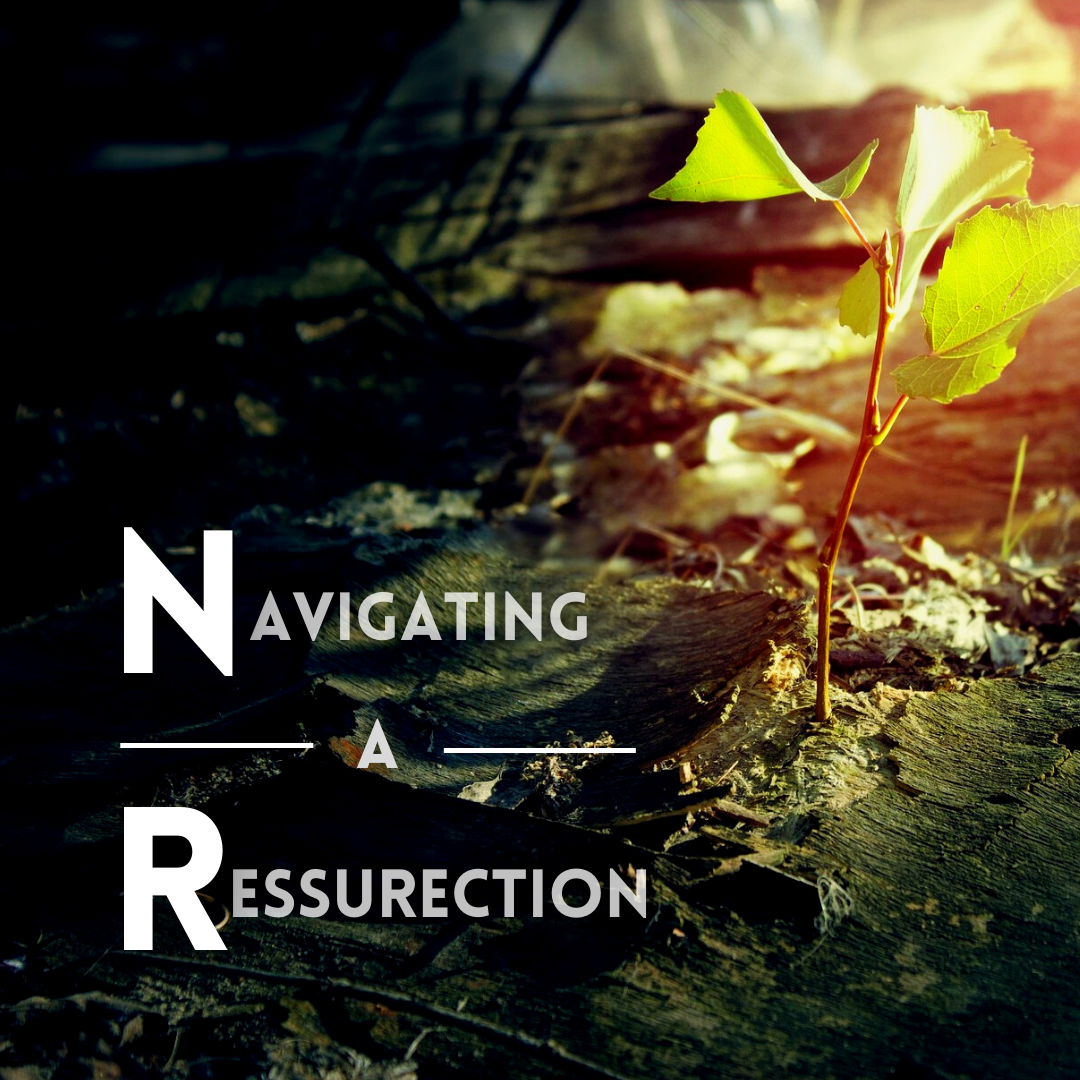 Navigating a Resurrection