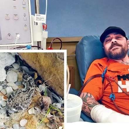 S2E25 -Snake Bite: Jeremy Sutcliffe S2E25 -Snake Bite: Jeremy Sutcliffe