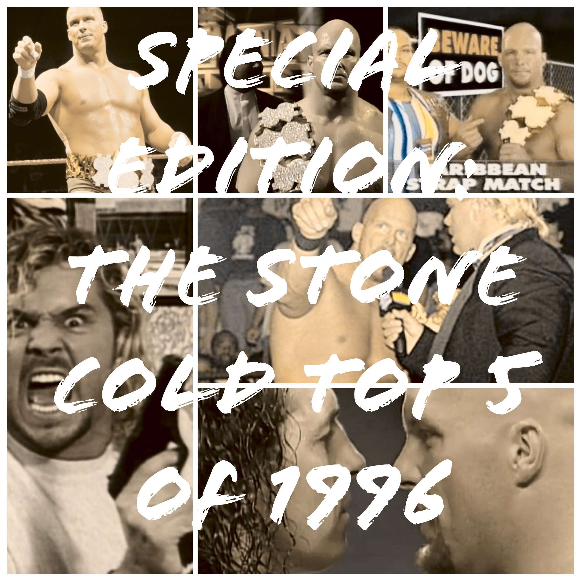The Stone Cold Top 5 of 1996 episode artwork
