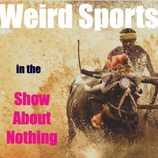 The Show About Nothing