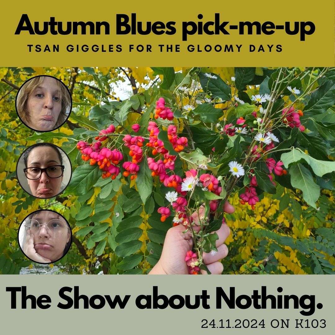 The Show About Nothing