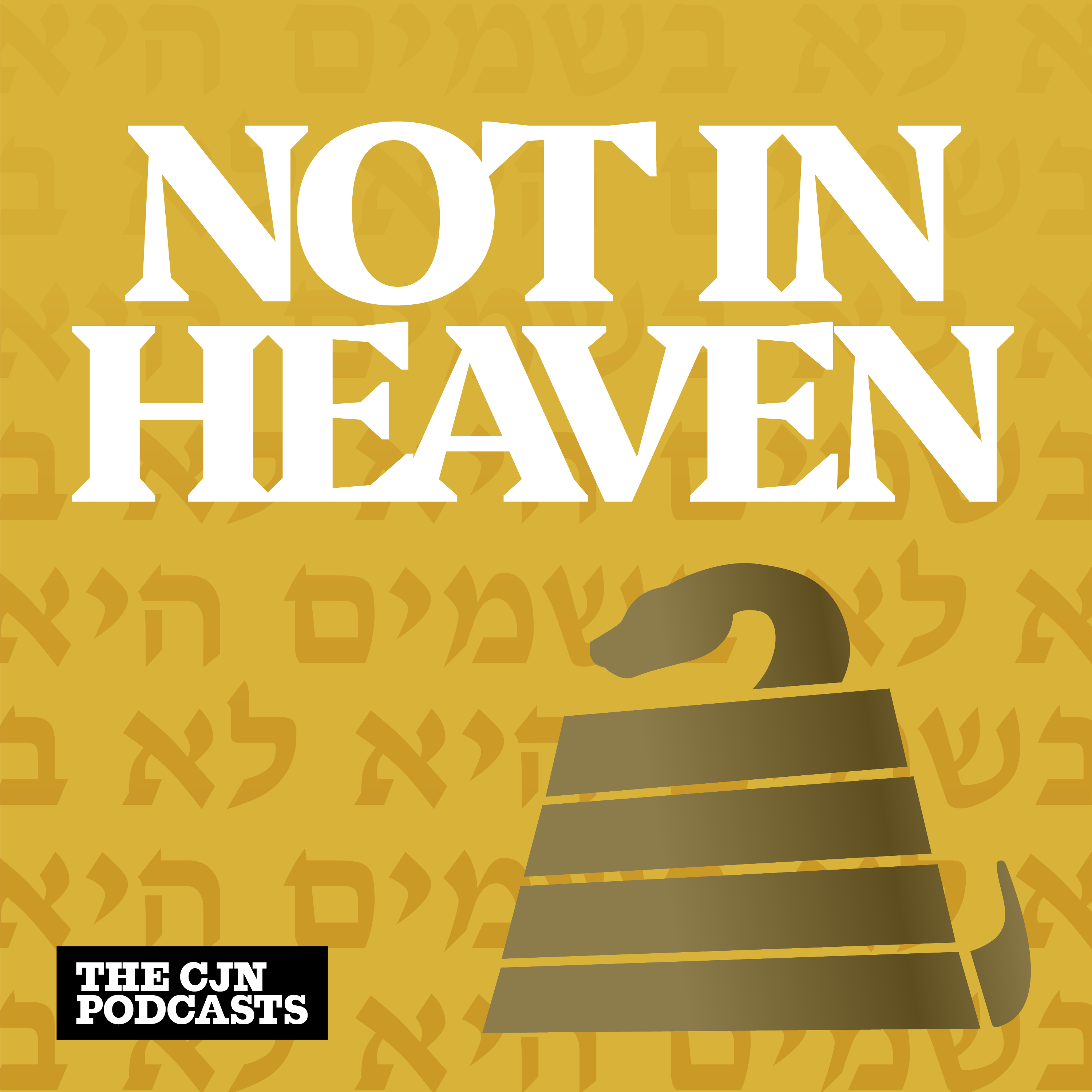 Not in Heaven