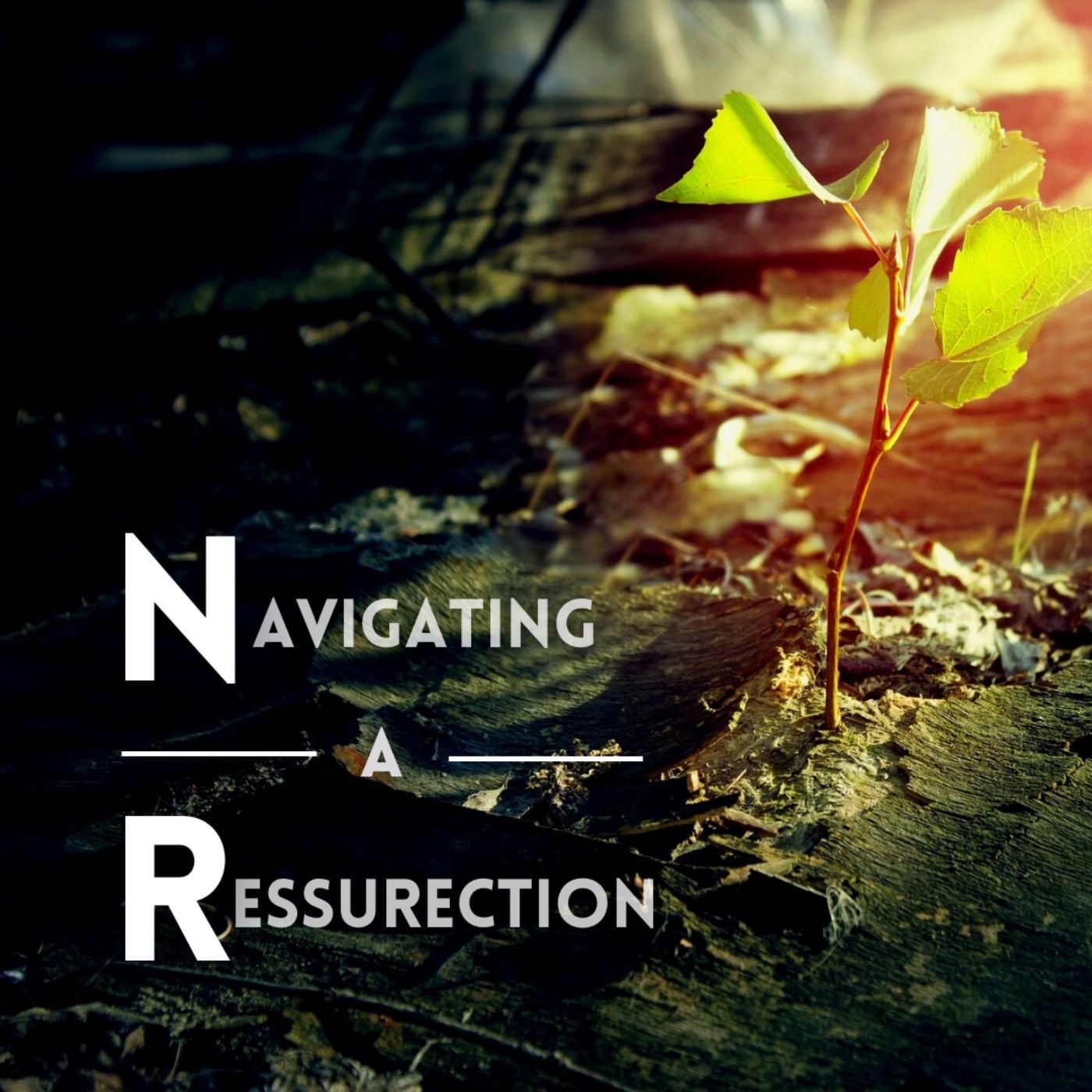 Navigating a Resurrection cover
