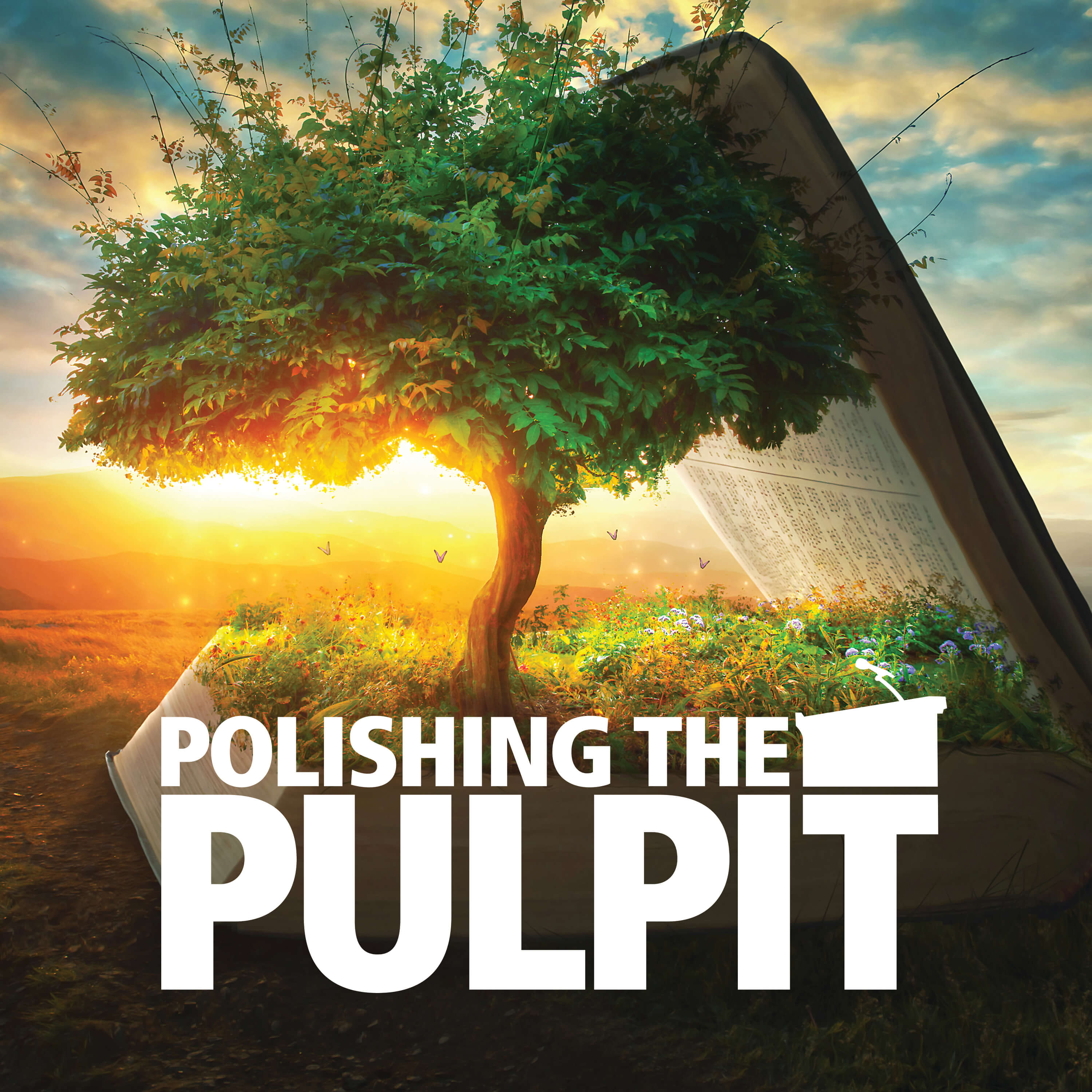 Polishing the Pulpit Podbay