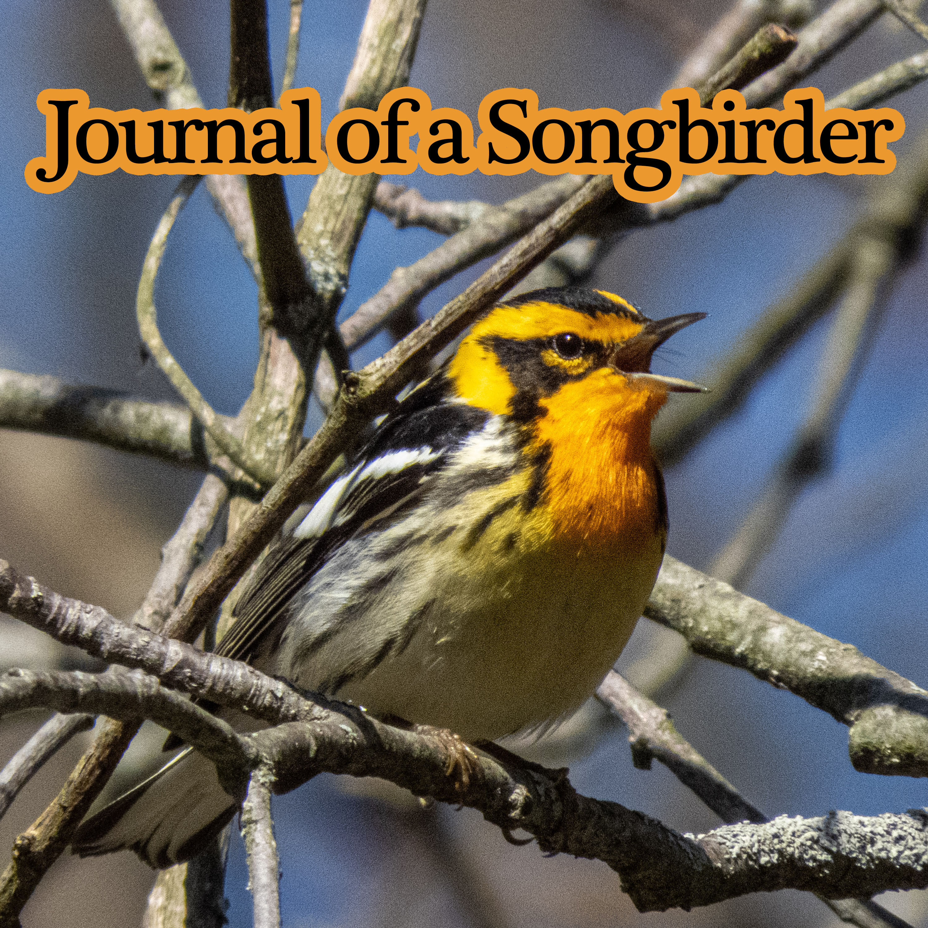 Journal of a Songbirder