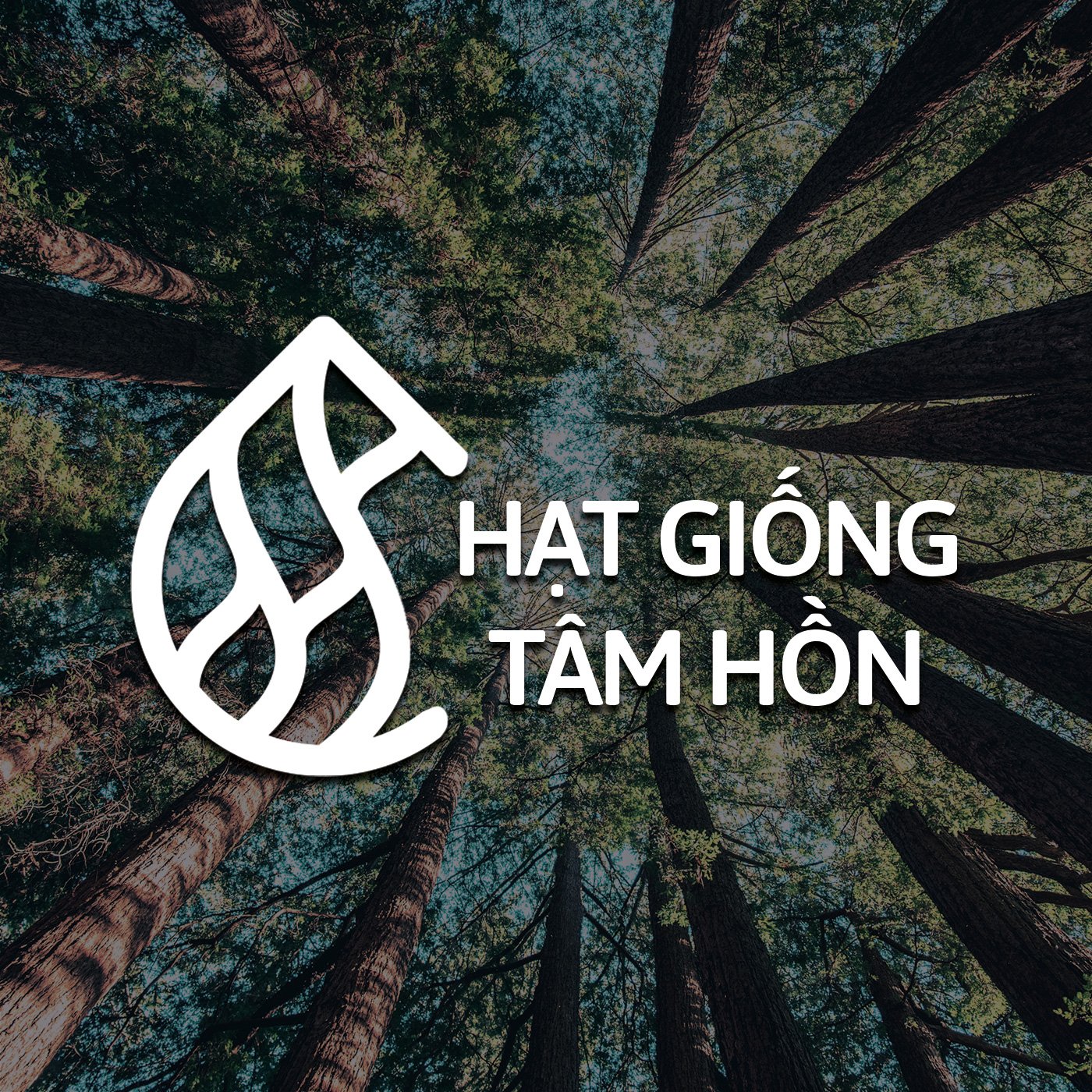 Hạt Giống Tâm Hồn Hạt Giống Tâm Hồn