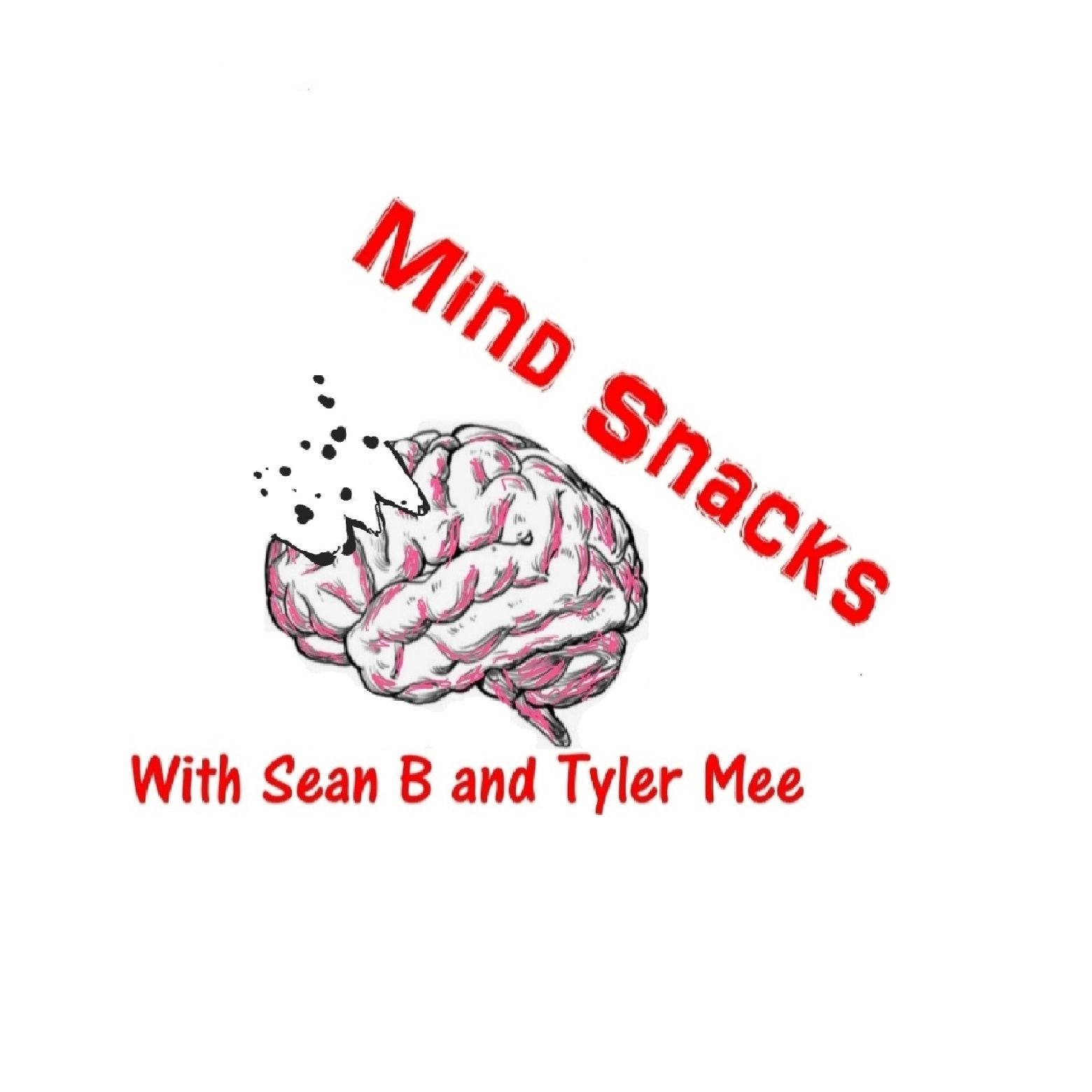 Mind Snacks