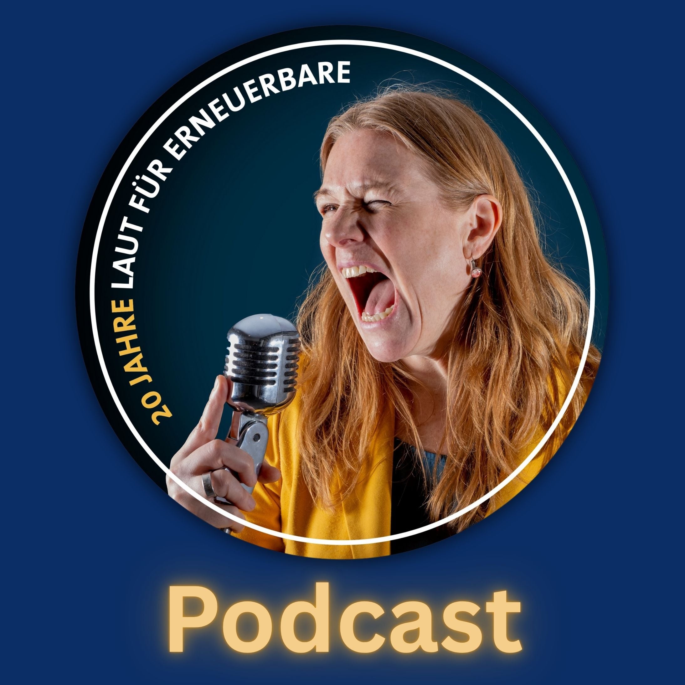 20 Jahre Laut für Erneuerbare - Der Krampitz Communications Podcast podcast artwork