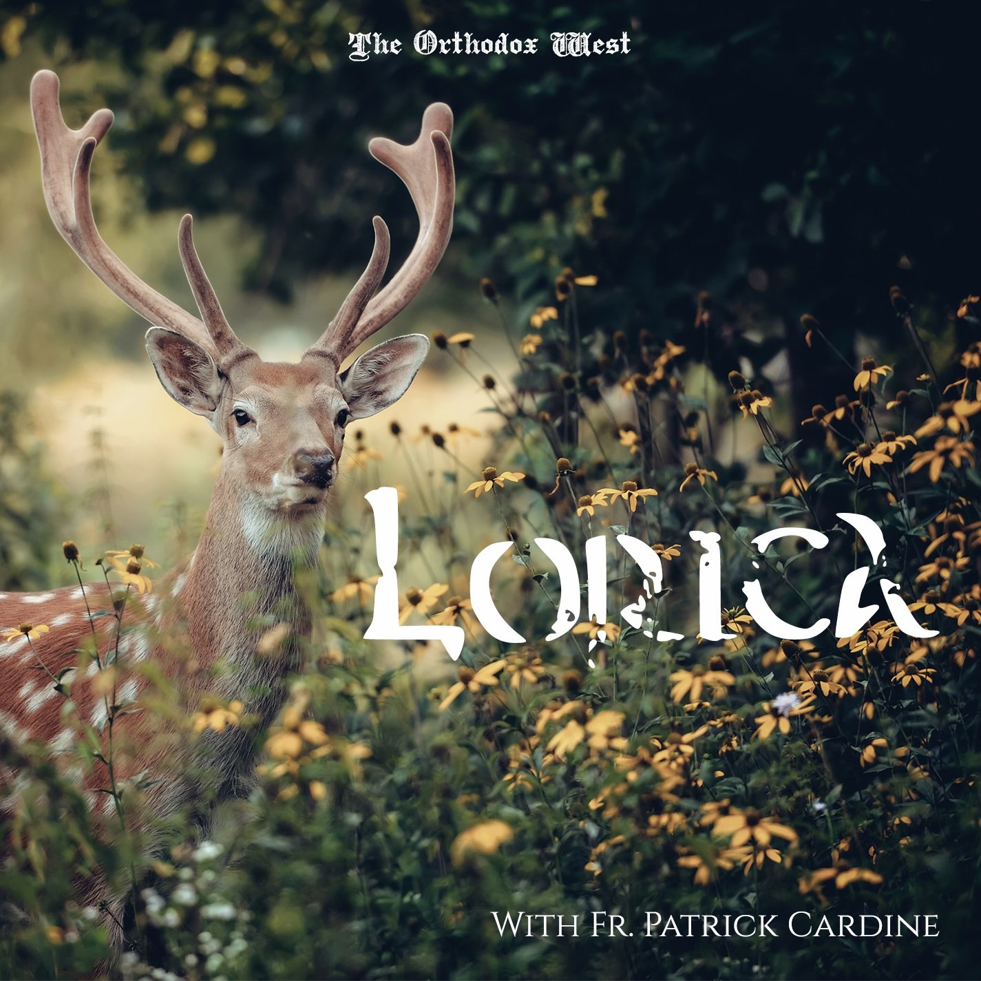 Lorica