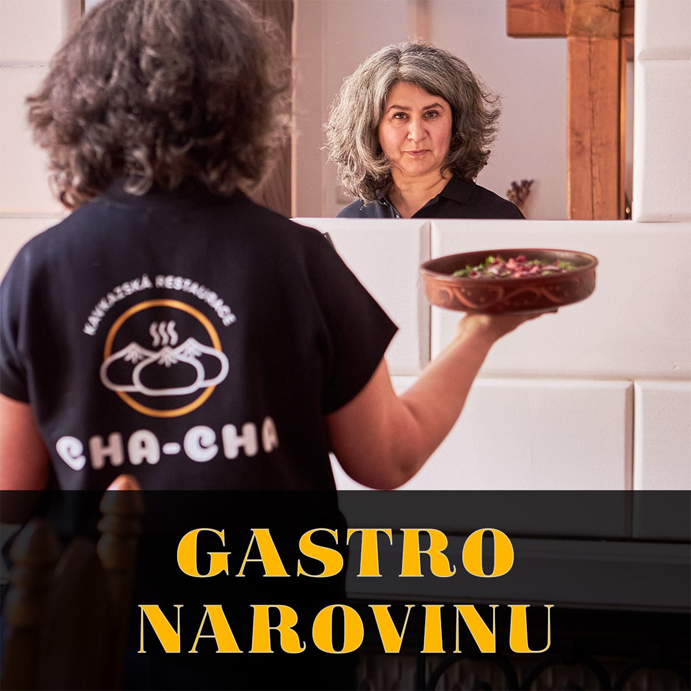 Gastro narovinu