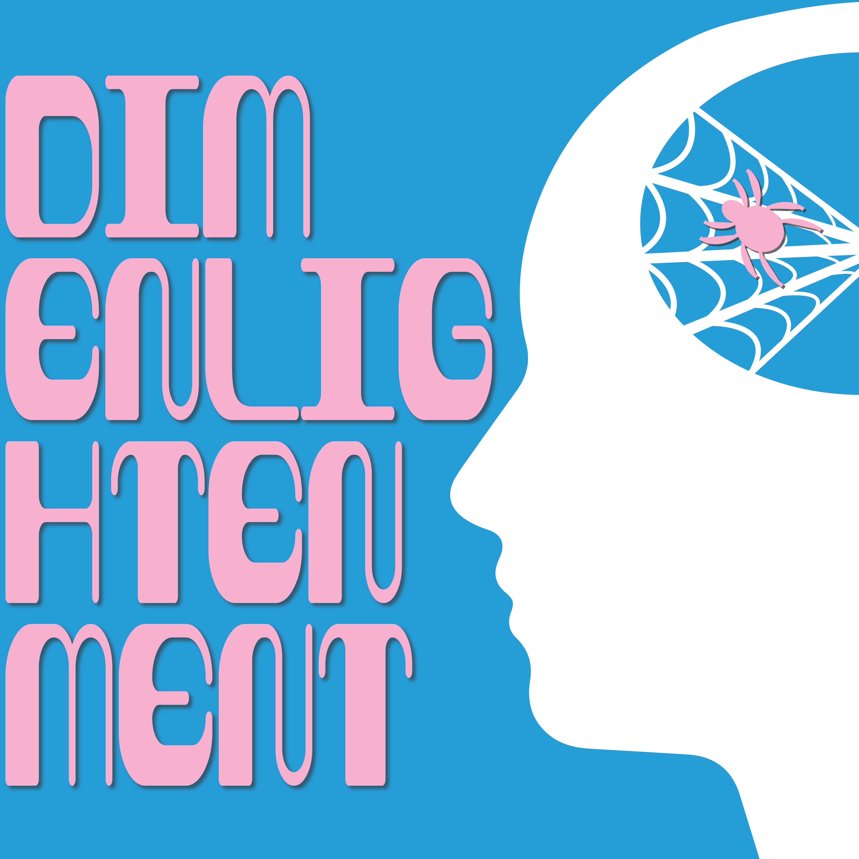 Dim Enlightenment