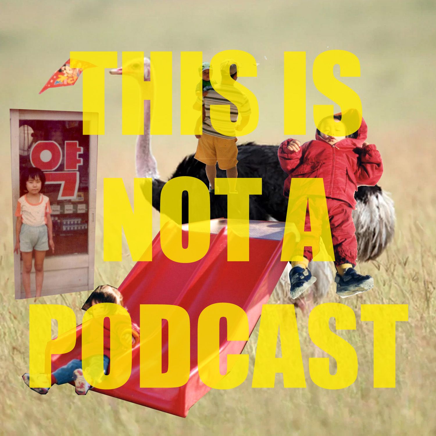 This is Not a Podcast