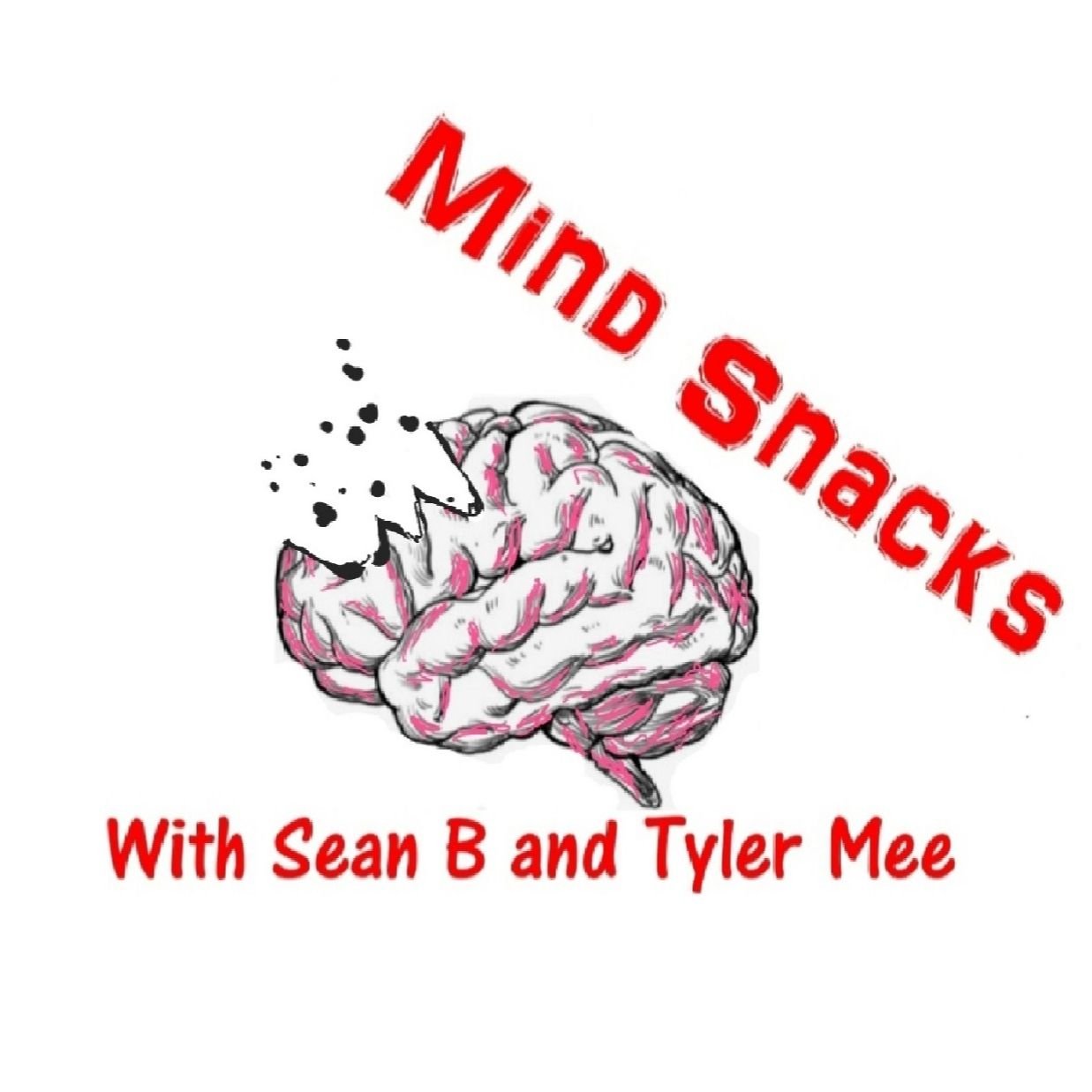 Mind Snacks