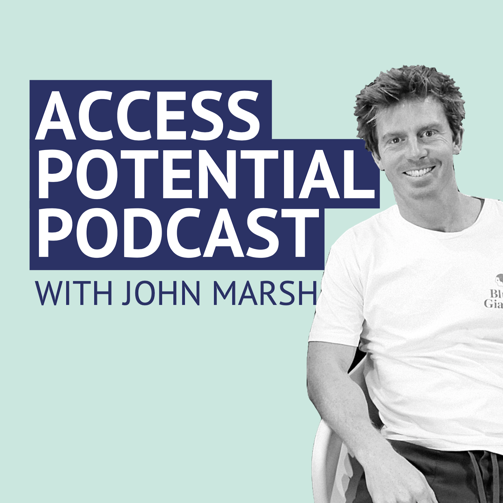 Access Potential Podcast
