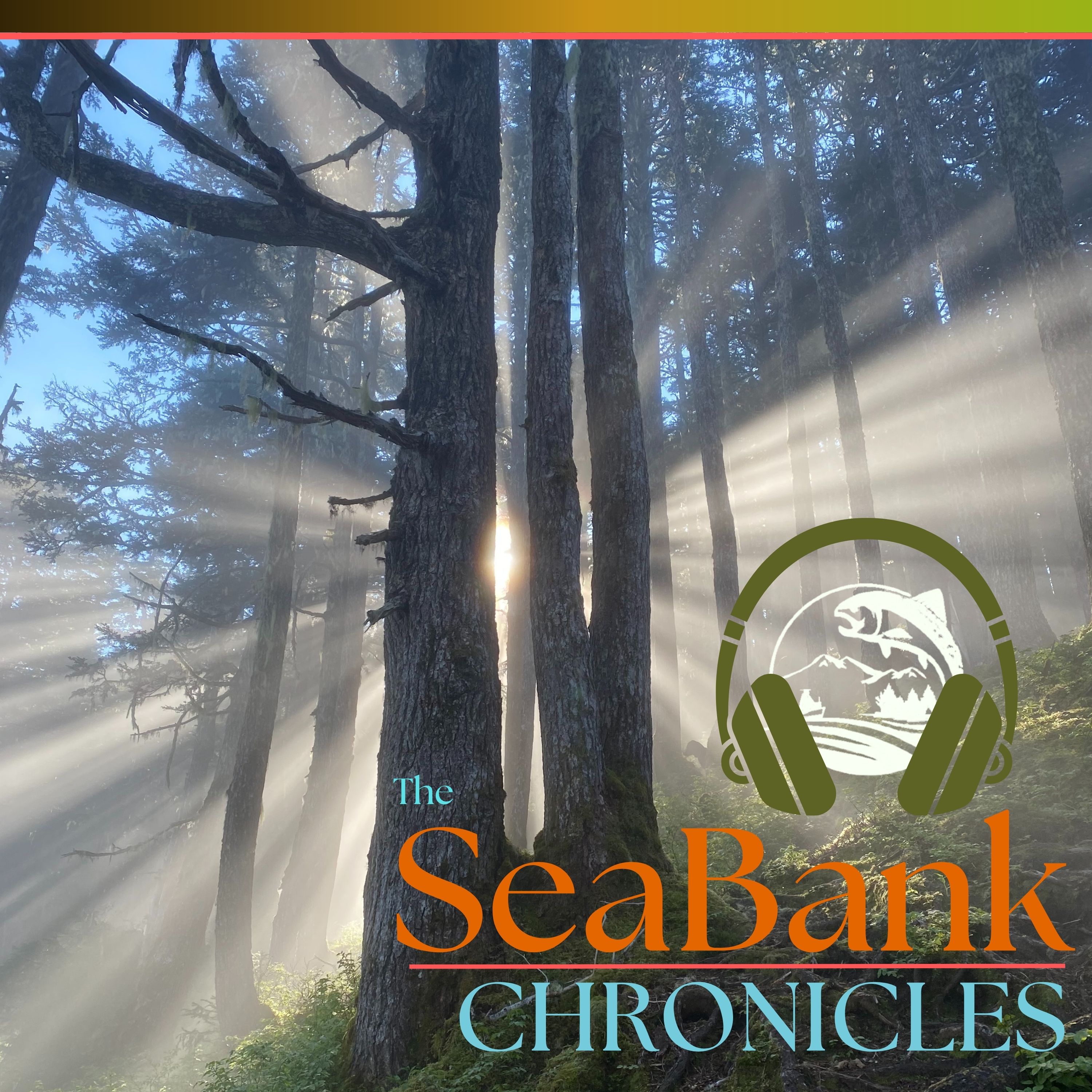 The SeaBank Chronicles