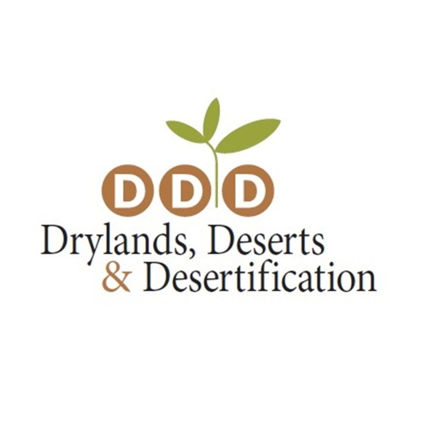 Voices from the DDD conference 2025