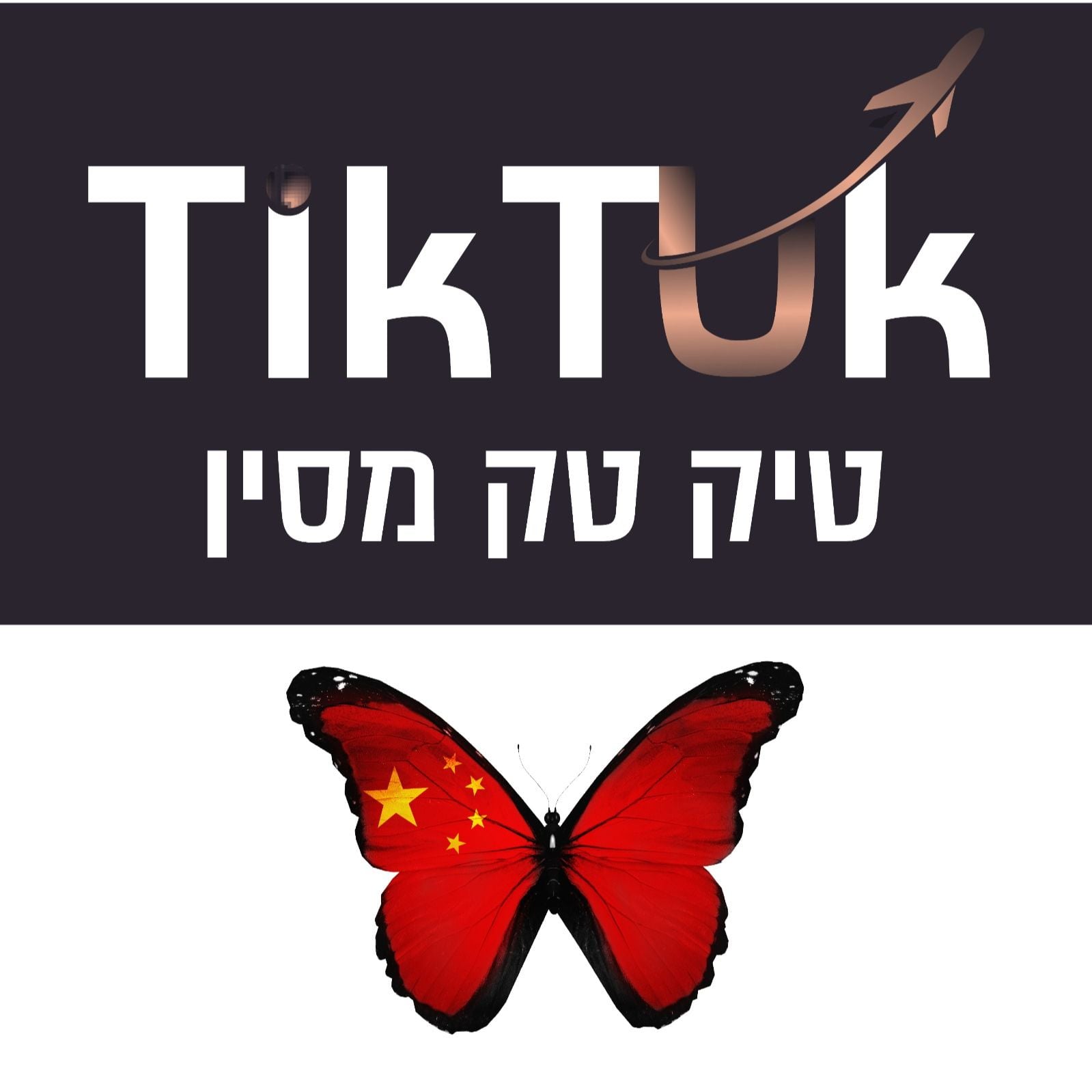 טיק טק - יבוא תכולת בית מסין