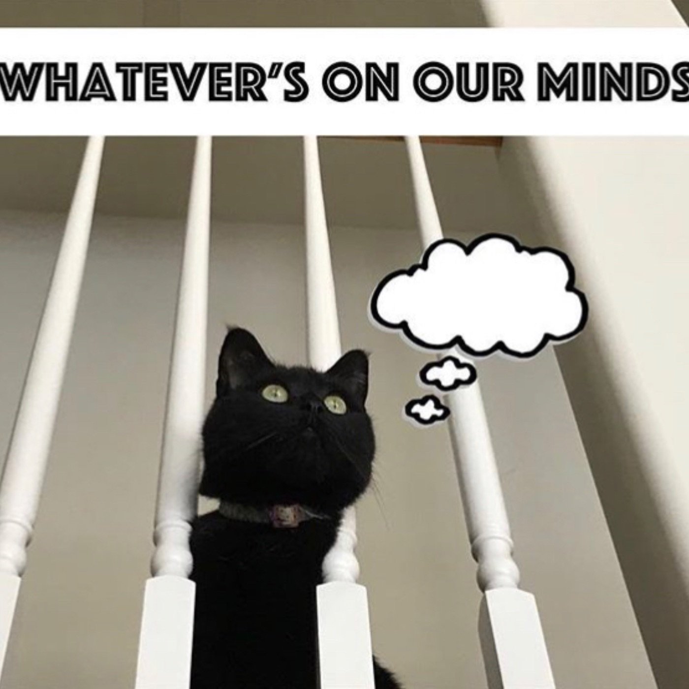 whatever\'s on our minds